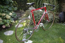 PINARELLO GAVIA - Campagnolo