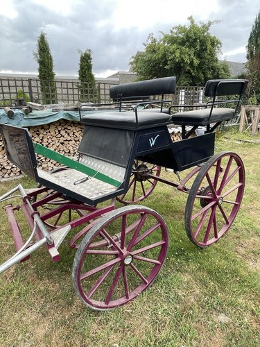 Wagonette pferdekutsche - pferdekutsche, –