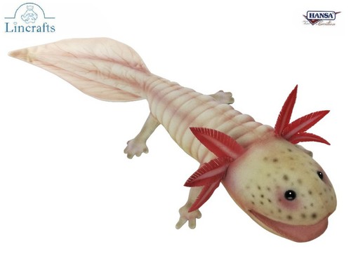 Axolotl plüschtier - axolotl,