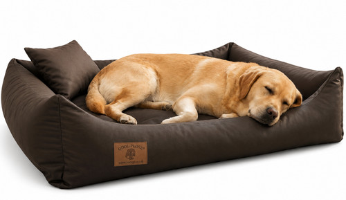 Hundebett sofa wasser schmutz - wasser,