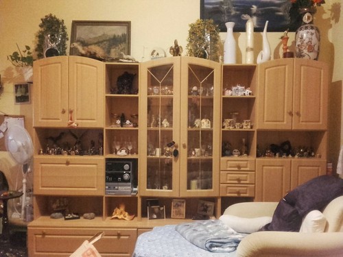 Wohnzimmer schrankwand