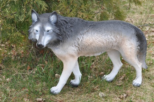 Wolf 60 cm neu - 45,