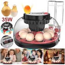 Inkubator Brutkasten