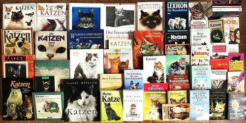 Bücher katzen katzenrasse - 51,