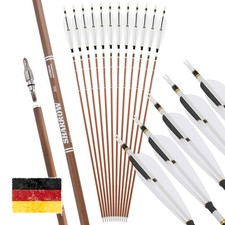 12X 31Zoll Carbonpfeile