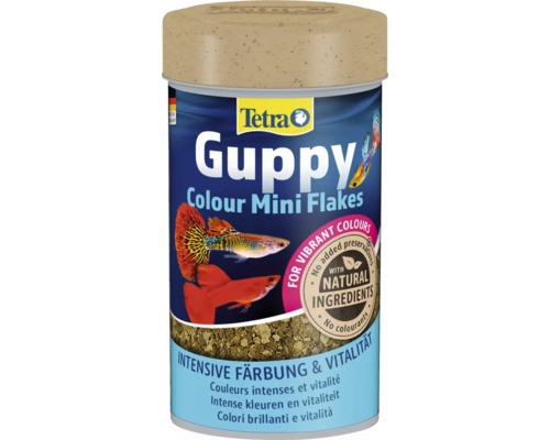 Tetra guppy colour - guppy, 100