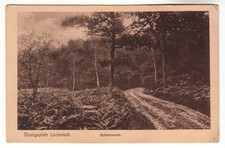 Hohenlockstedt Weg im Schierenwald Feldpost 28.07.1916 (Itzehoe Kellinghusen)