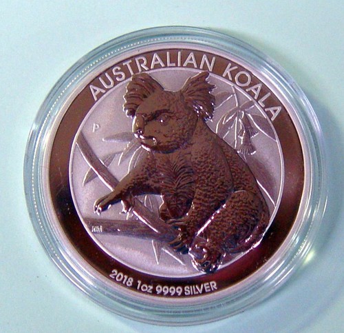 Australien koala 2018 1 - australien,