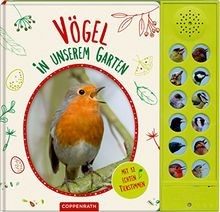 Vögel unserem garten mit - in,