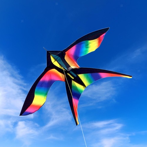 Kite single line control - kite,