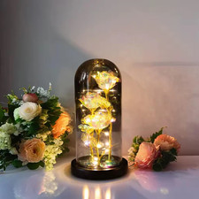 3 Stück Leuchtrose in einer