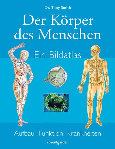 Der körper des - der,