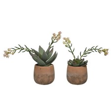 Sukkulente Topf Kunstpflanze Kunstblume  Büro Dekoration grün H 28 cm Stückpreis