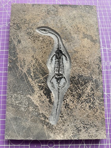 Keichousaurus aus china - keichousaurus,