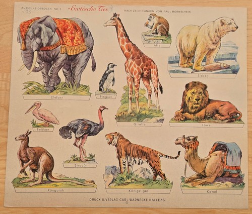 Exotische tiere - exotische,