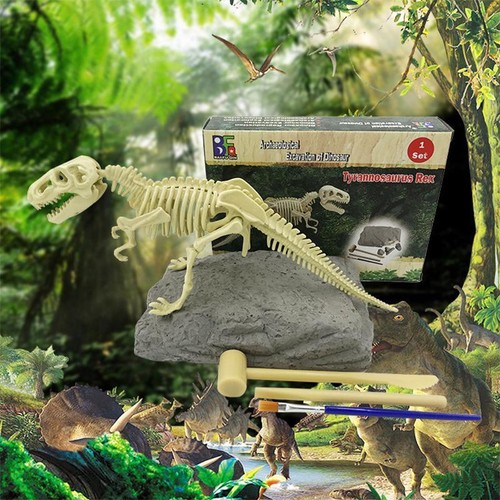 Ausgrabungsset dino fossil - ausgrabungsset,