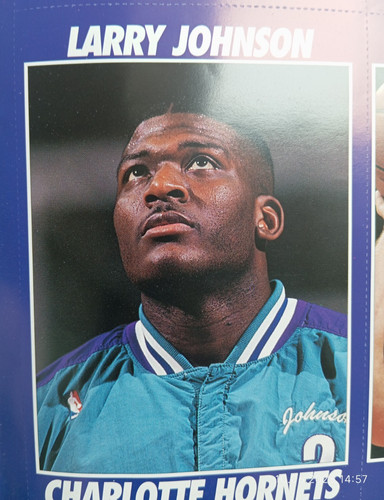 Larry johnson basketball usa - johnson,