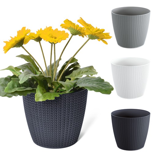 Blumentopf pflanztopf - blumentopf,