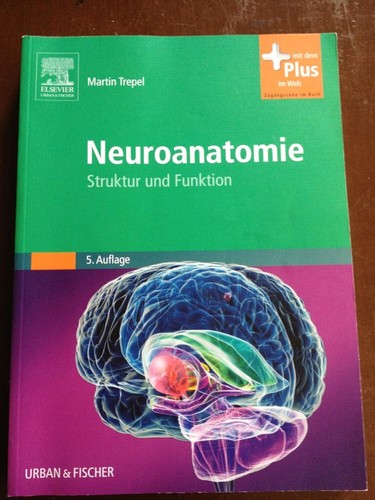 Neuroanatomie struktur und - neuroanatomie,