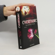 Evermore 4. Das dunkle Feuer 