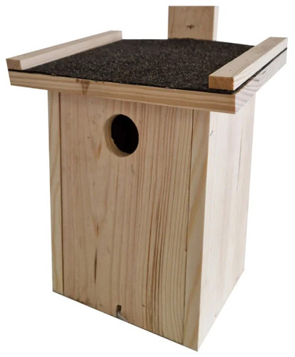 Nistkasten piep für - für, vögel