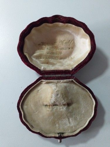 Schmuck dose muschel - schmuck,
