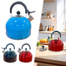 Edelstahl Flötenkessel