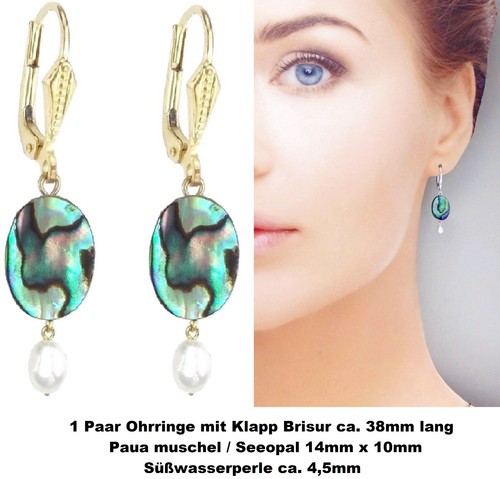 Abalone paua muschel ohrringe - abalone,