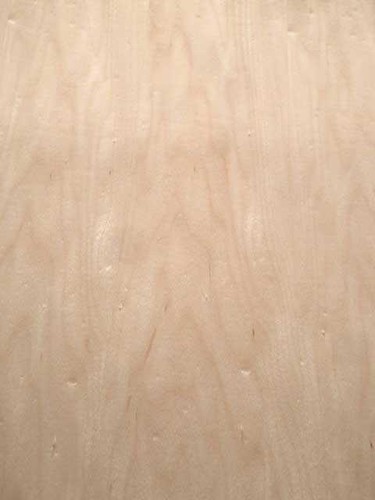 Ahorn furnier maple - furnier,
