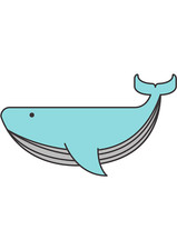 5x car sticker whale sticker