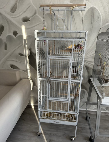 Weißer vogelkäfig auf - weißer,
