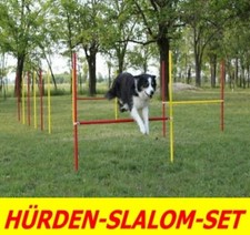 AGILITY-ÜBUNGS-HÜRDEN/SLALOM
