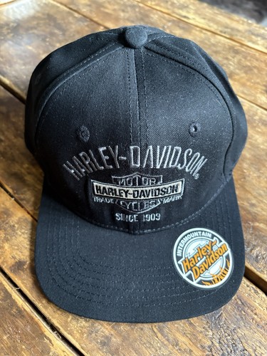 Harley davidson motorcycles - davidson,