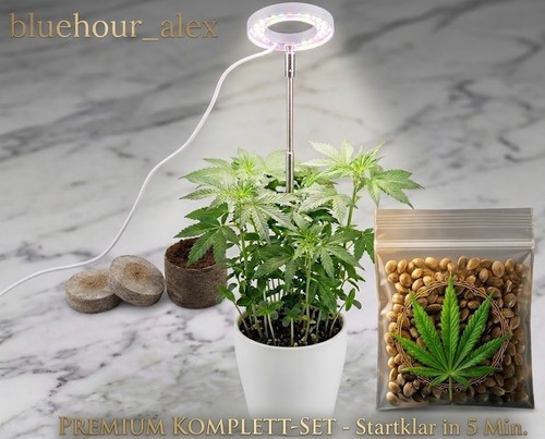 Premium komplett set led - premium,