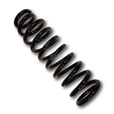 Feder vorne, front Coil Spring