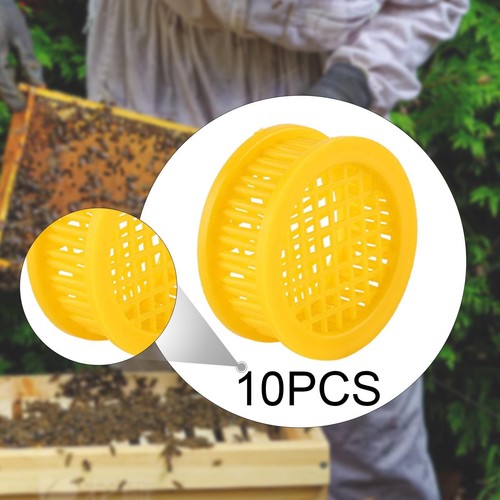 10x königin bee käfige - königin,