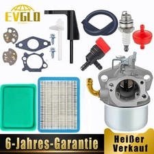 Vergaser-Kit für Briggs &