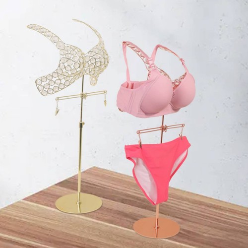 Dessous büste schaufenster - dessous-büste,