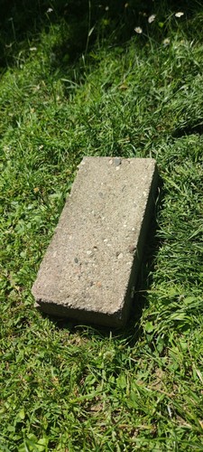 Ziegel backstein - 5x,