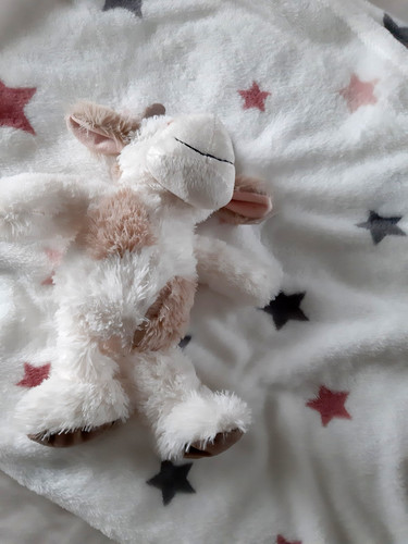 Baby kuscheldecke weiß - -,