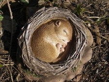 Siebenschläfer maus deko - maus,