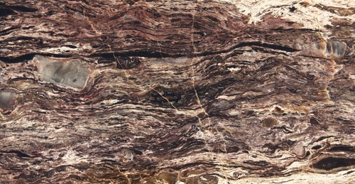 Versteinertes holz - versteinertes,
