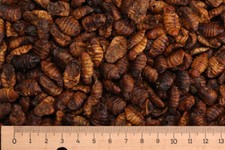 (Grundpreis 2,45 €/Liter) -