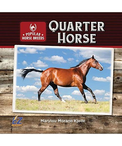 Quarter horse marylou morano - quarter, horse,