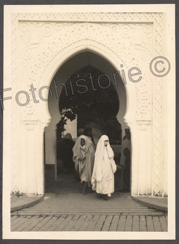 Foto marokko tanger - marokko, frauen