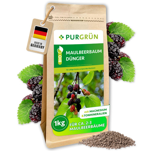 Purgrün bio maulbeerbaum - purgrün,