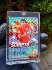 Ruud Van Nistelrooy - Silver