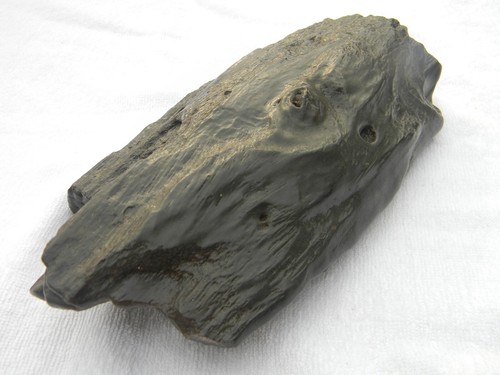 Holz versteinert 24cm - holz,, versteinert,