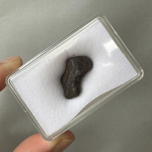 Sikhote alin meteorit 10g - sikhote,