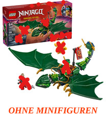 LEGO® Ninjago 71829 Lloyds